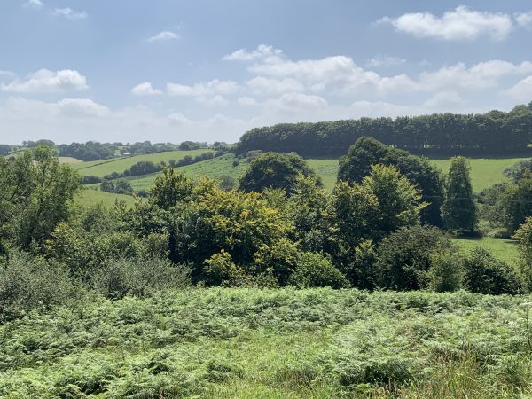 Panoramic view